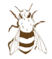 abeja-icono